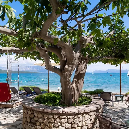 بيت ضيافة M2